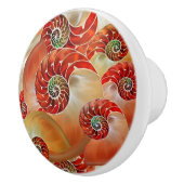 Nautilus Shells セラミックノブ (右)