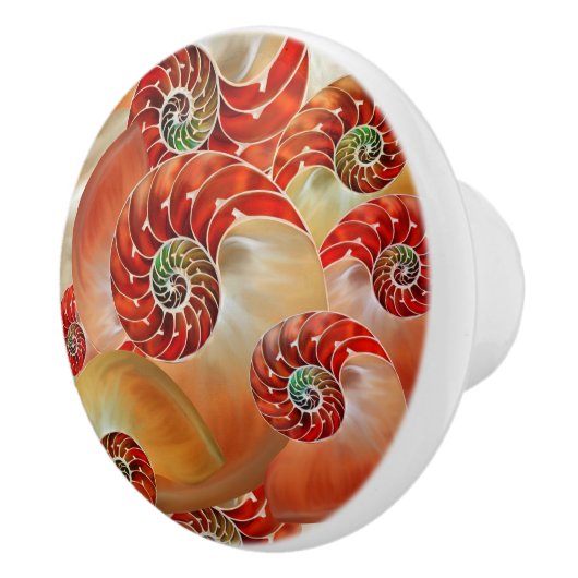 Nautilus Shells セラミックノブ (右)