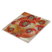 Nautilus Shells タイル (側面)