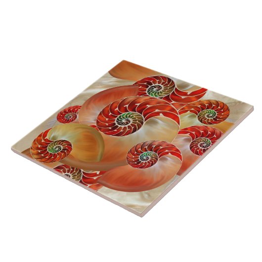 Nautilus Shells タイル (側面)