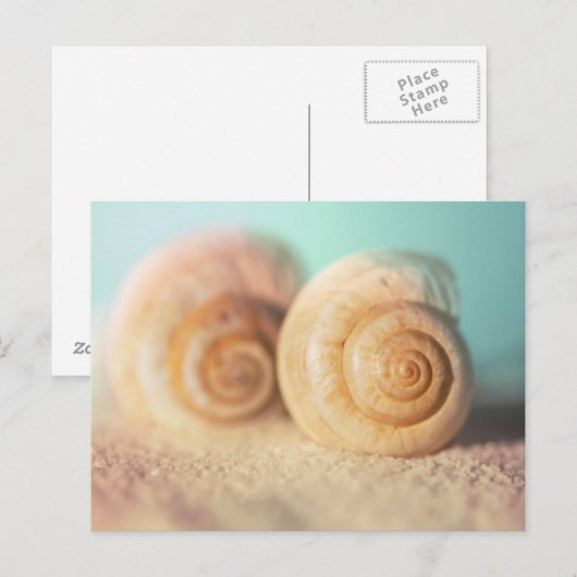 Nautilus Shells On Beach ポストカード (正面/裏面)