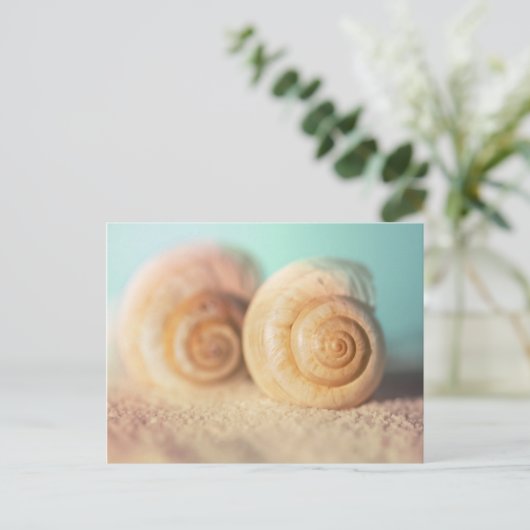 Nautilus Shells On Beach ポストカード (スタンド正面)