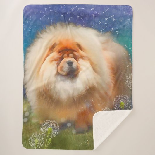 Nava大規模ブランケットへの新しいリンク シェルパブランケット (正面)