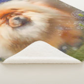 Nava大規模ブランケットへの新しいリンク シェルパブランケット (3/4)