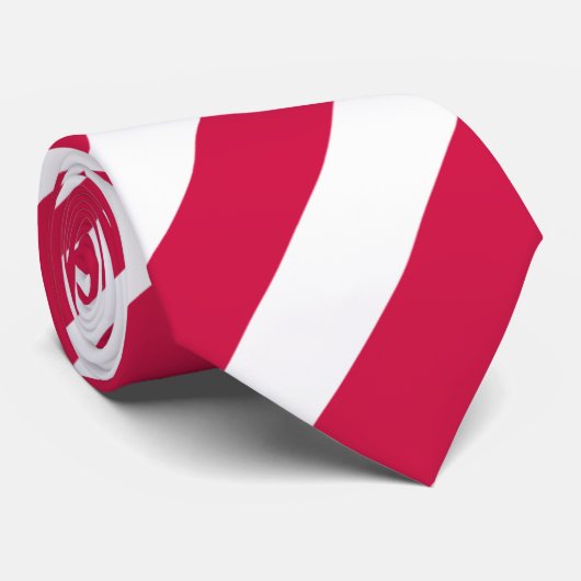 NAVA 57 Tie ネクタイ (ロール)