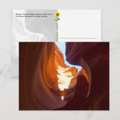 Navajo Upper Antelope Canyon (1) – はがき (正面/裏面)