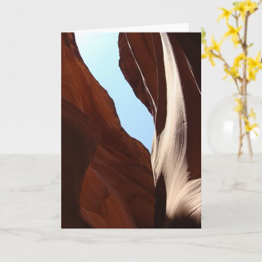 Navajo Upper Antelope Canyon (4) – カード (黄色い花)