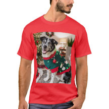 Navidad Perruna: Decorando con Estilo