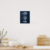 Navy Beach Decor Seashell Print no. 10 ポスター (キッチン)