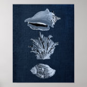 Navy Beach Decor Seashell Print no. 10 ポスター (正面)