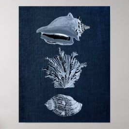 Navy Beach Decor Seashell Print no. 10 ポスター