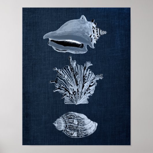Navy Beach Decor Seashell Print no. 10 ポスター (正面)