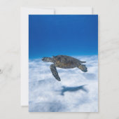 Navy Underwater Aquatic Turtle Coastal wedding 招待状 (裏面)