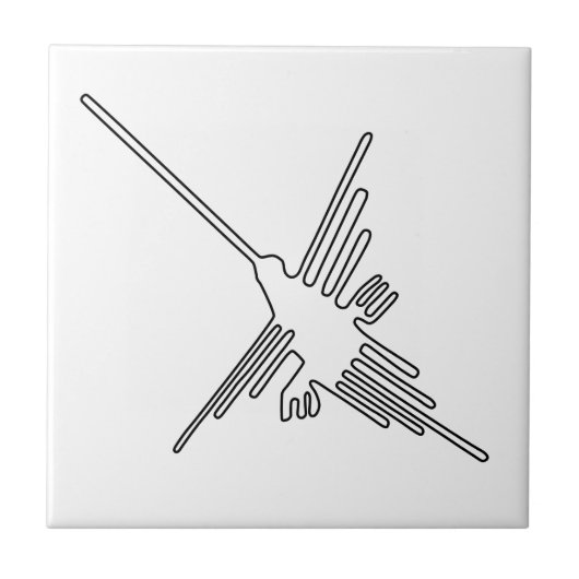 Nazcaペルーの鳥の古代geoglyphの記号のミステリーen タイル (正面)