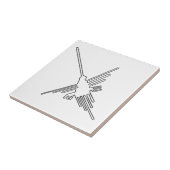 Nazcaペルーの鳥の古代geoglyphの記号のミステリーen タイル (側面)