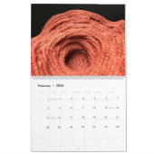 NBOメンバーのカレンダー#1 カレンダー (2月 2026)