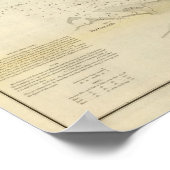 NCオクラコケインレット ポスター (角)