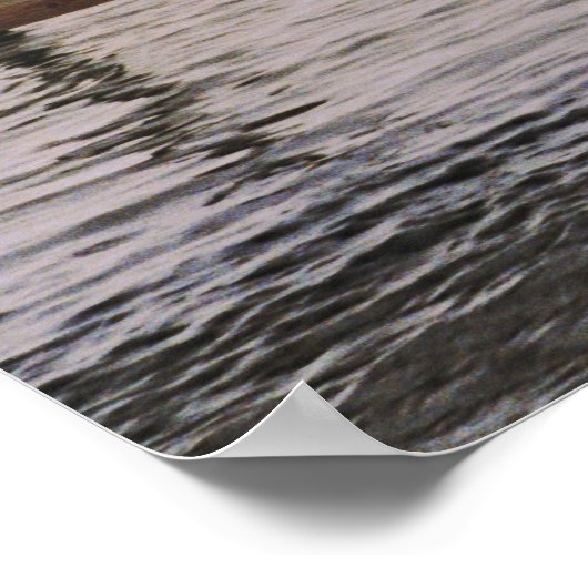 NCペリカン ポスター (角)