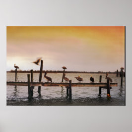 NCペリカン ポスター