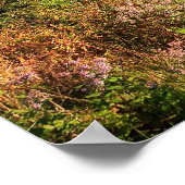 NCマウンテンズポスター ポスター (角)