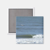 NCマグネット、トップセイル島 マグネット (正面/裏面)