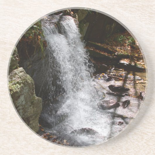 NC滝、ニューランド、ボビー・マクリーン記念公園 コースター (正面)