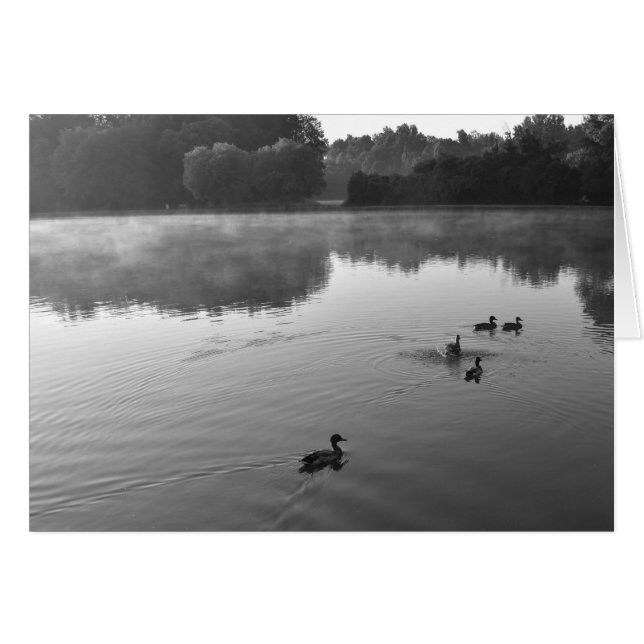 NC /なし、カード (正面横)