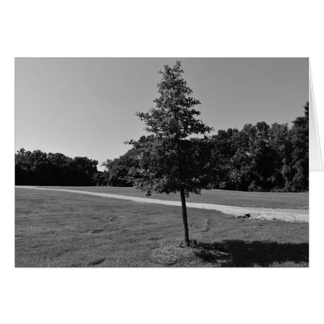 NC /なし、カード (正面横)