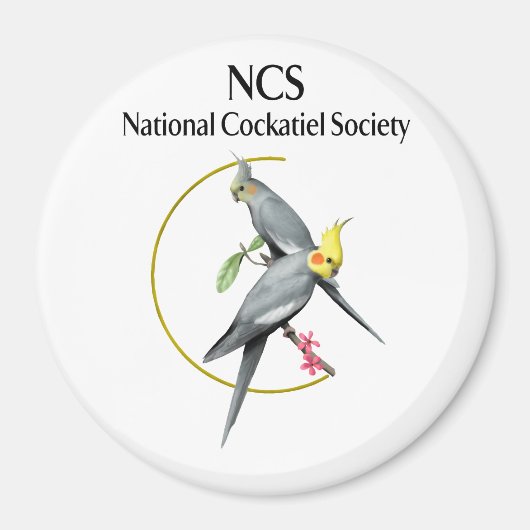 NCS大型3インチラウンドマグネット マグネット (正面)