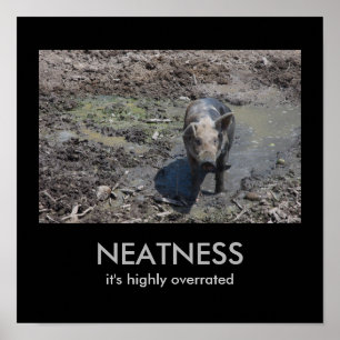 NEATNESS:高い評価を受けている ポスター