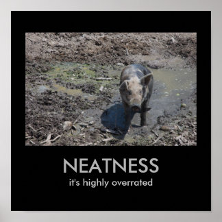 NEATNESS：高い評価を受けている ポスター