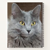 Nebelung Long-Fold ロシアの Blue Cat Notebook ノートブック (裏面)