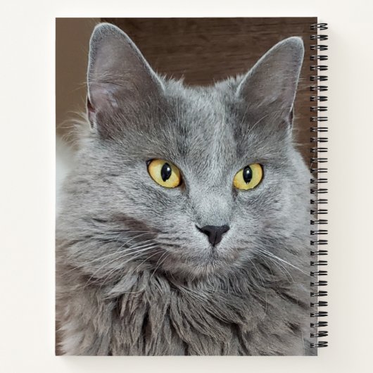 Nebelung Long-Fold ロシアの Blue Cat Notebook ノートブック (裏面)
