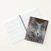Nebelung Long-Fold ロシアの Blue Cat Notebook ノートブック (内部)