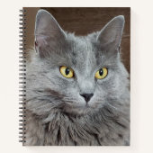 Nebelung Long-Fold ロシアの Blue Cat Notebook ノートブック (正面)