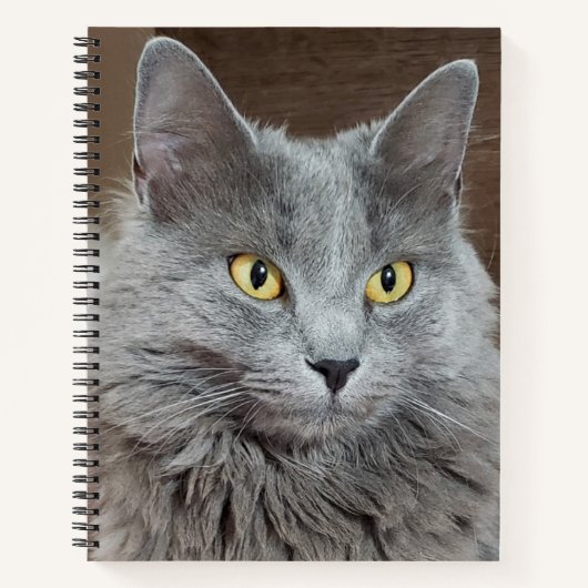 Nebelung Long-Fold ロシアの Blue Cat Notebook ノートブック (正面)