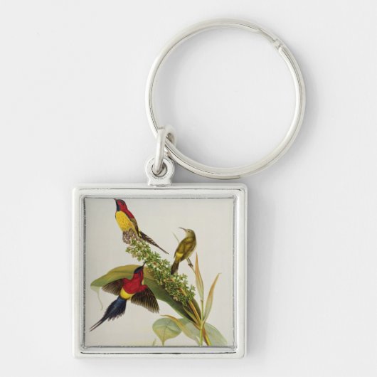 Nectarinia Gouldae キーホルダー (正面)
