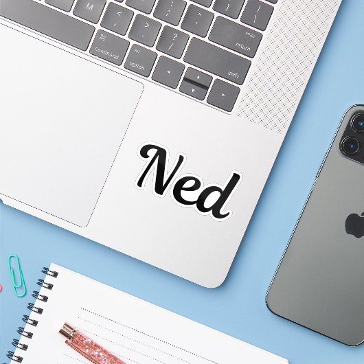 Ned シール (ノートパソコンとiPhone)
