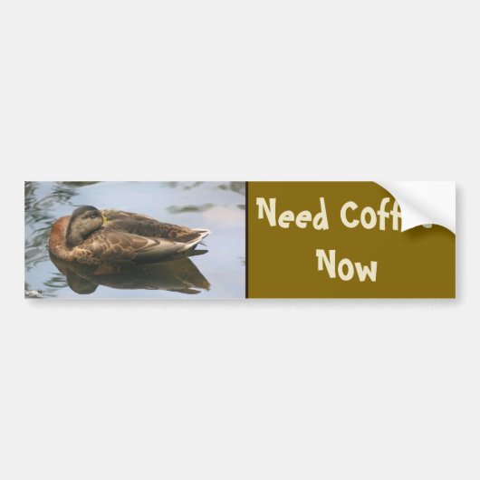 Need Coffee Funny Duck バンパーステッカー (正面)