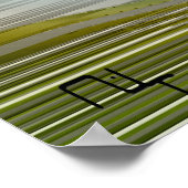 Nefertitiが明らかにした ポスター (角)