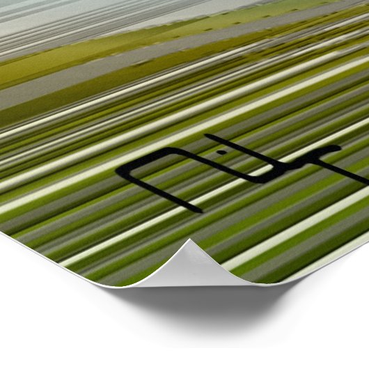 Nefertitiが明らかにした ポスター (角)