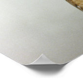 Nefertiti女王のバスト、側面図、スタディから ポスター (角)