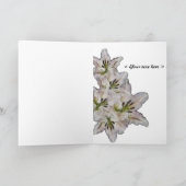 nefertiti純度と美しい（カード） カード (内部)