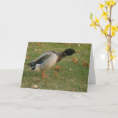 "Neighborhood Mallard Shaking"サンキューカード カード (黄色い花)