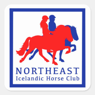 NEIHCステッカー スクエアシール