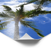 Neil Jones Photography – パームズオンワイキキビーチ。 フォトプリント (角)