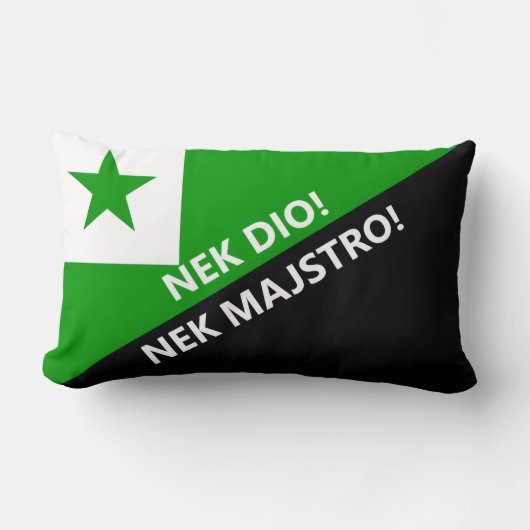 Nek dio nek majstro ランバークッション (正面)