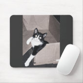 nekoo マウスパッド (マウス)