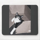 nekoo マウスパッド (正面)