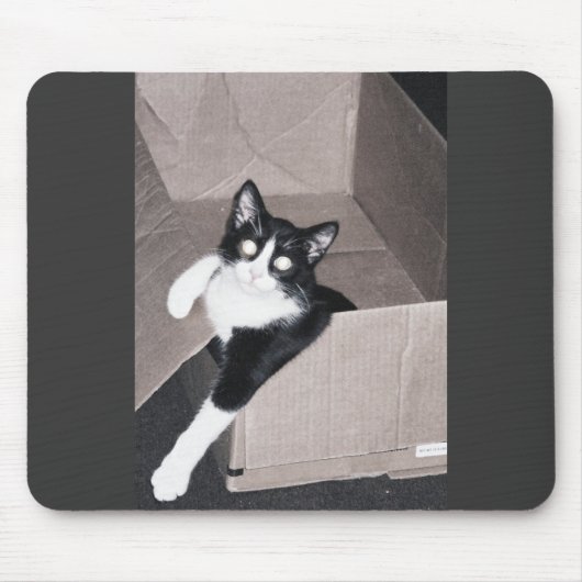 nekoo マウスパッド (正面)